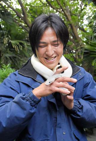 期間限定で首巻き体験ができる白いボールパイソン＝指宿市の長崎鼻パーキングガーデン