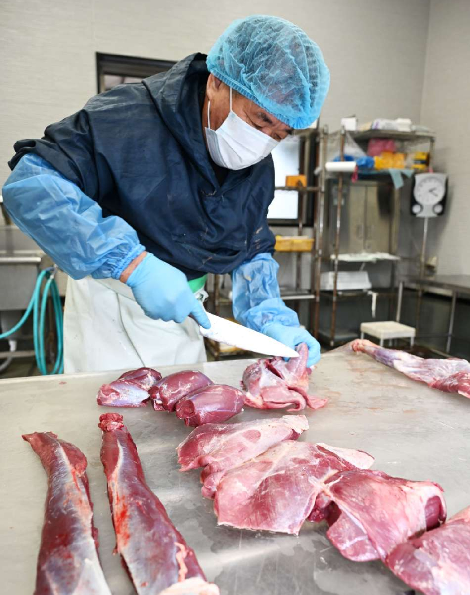 シカ肉を部位ごとにカットする大幸のスタッフ