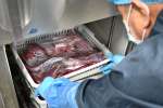解体が終わると、カットした肉は冷蔵庫で保管し、肉に残った血を抜く
