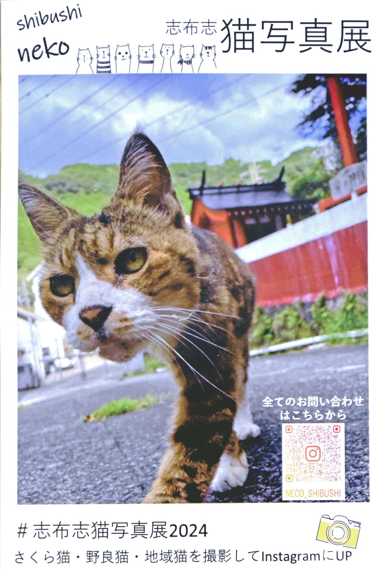 志布志猫写真展をＰＲするポストカード