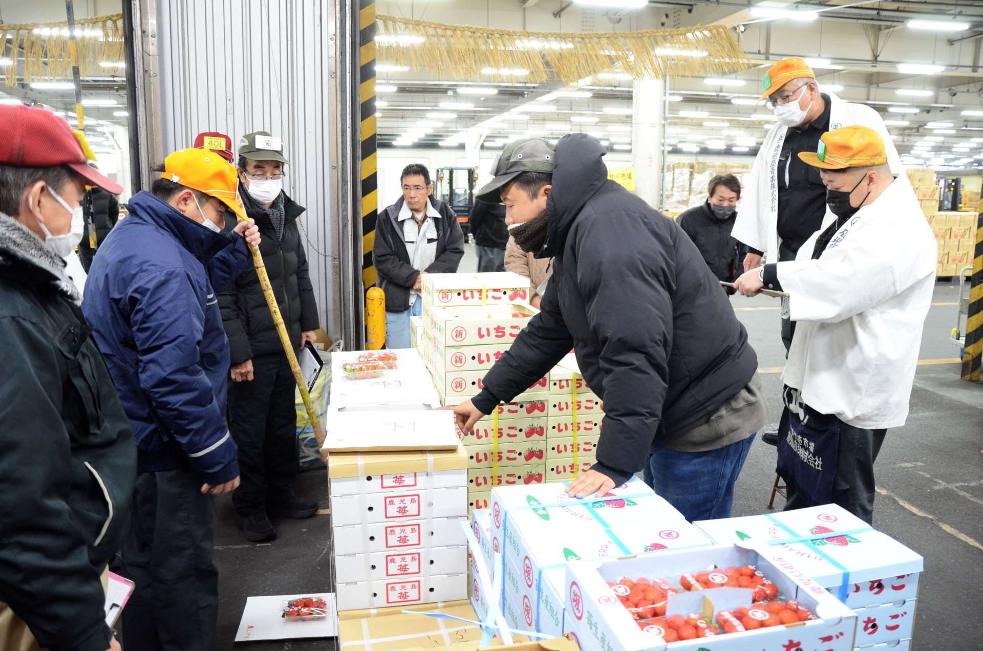 イチゴが並ぶ青果市場の初競り＝５日、鹿児島市東開町