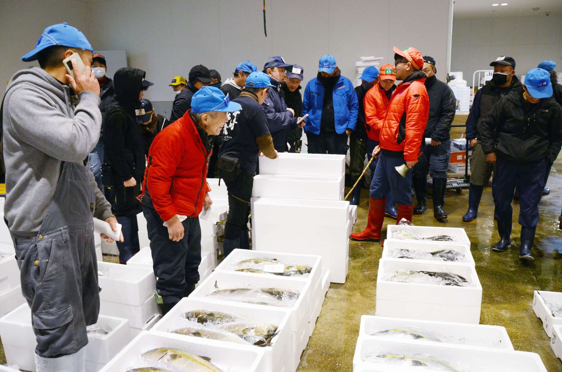 カンパチが並ぶ魚類市場の初競り＝５日、鹿児島市城南町