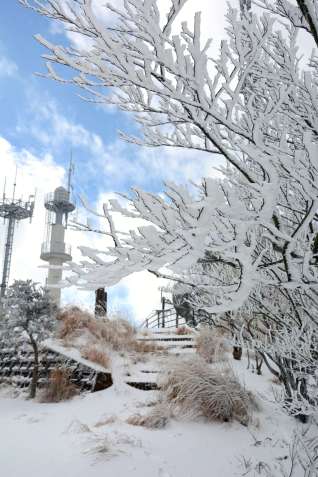 雪が積もり、銀世界が広がる紫尾山頂＝９日、さつま町（同町の許可を得て撮影）