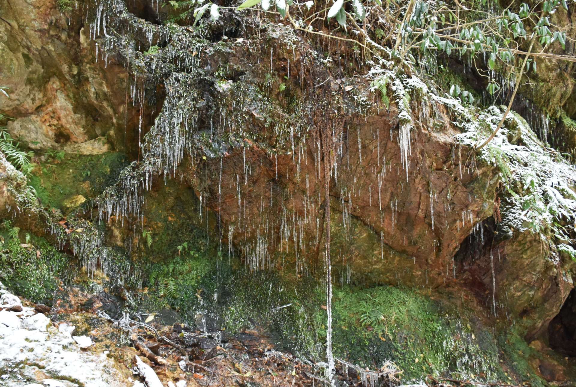 染み出した水が凍り、つららができた岩場＝１０日午前９時ごろ、伊佐市大口山野