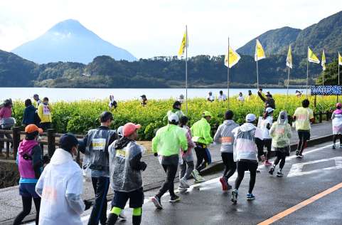 菜の花の咲く池田湖畔を走るランナーたち＝１２日、指宿市池田
