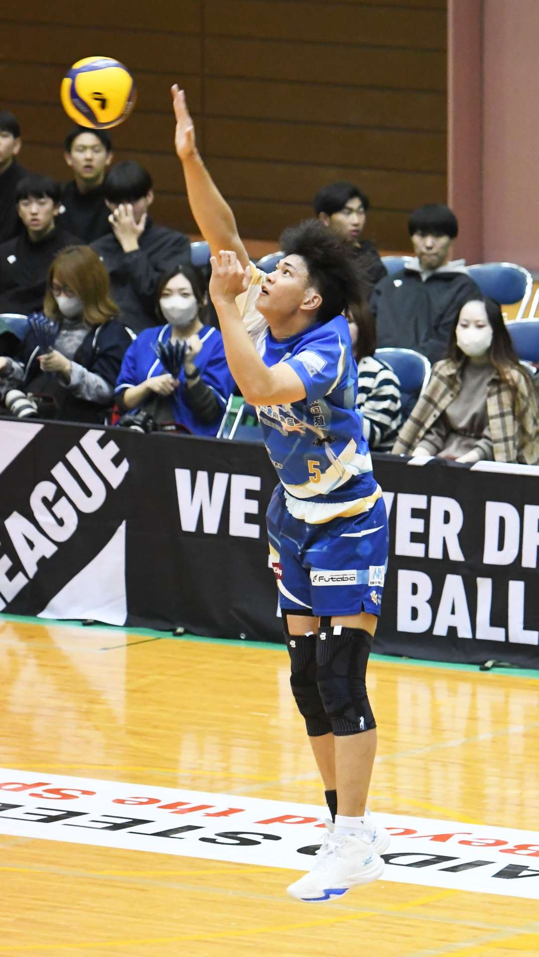 ジャンプフローターサーブを打つＦ鹿児島の古井＝２０２４年１１月２３日、都城市早水公園体育文化センター