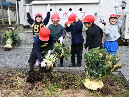 〈関連〉大きな大根を引き抜き大喜びの児童たち＝南九州市川辺の高田小学校