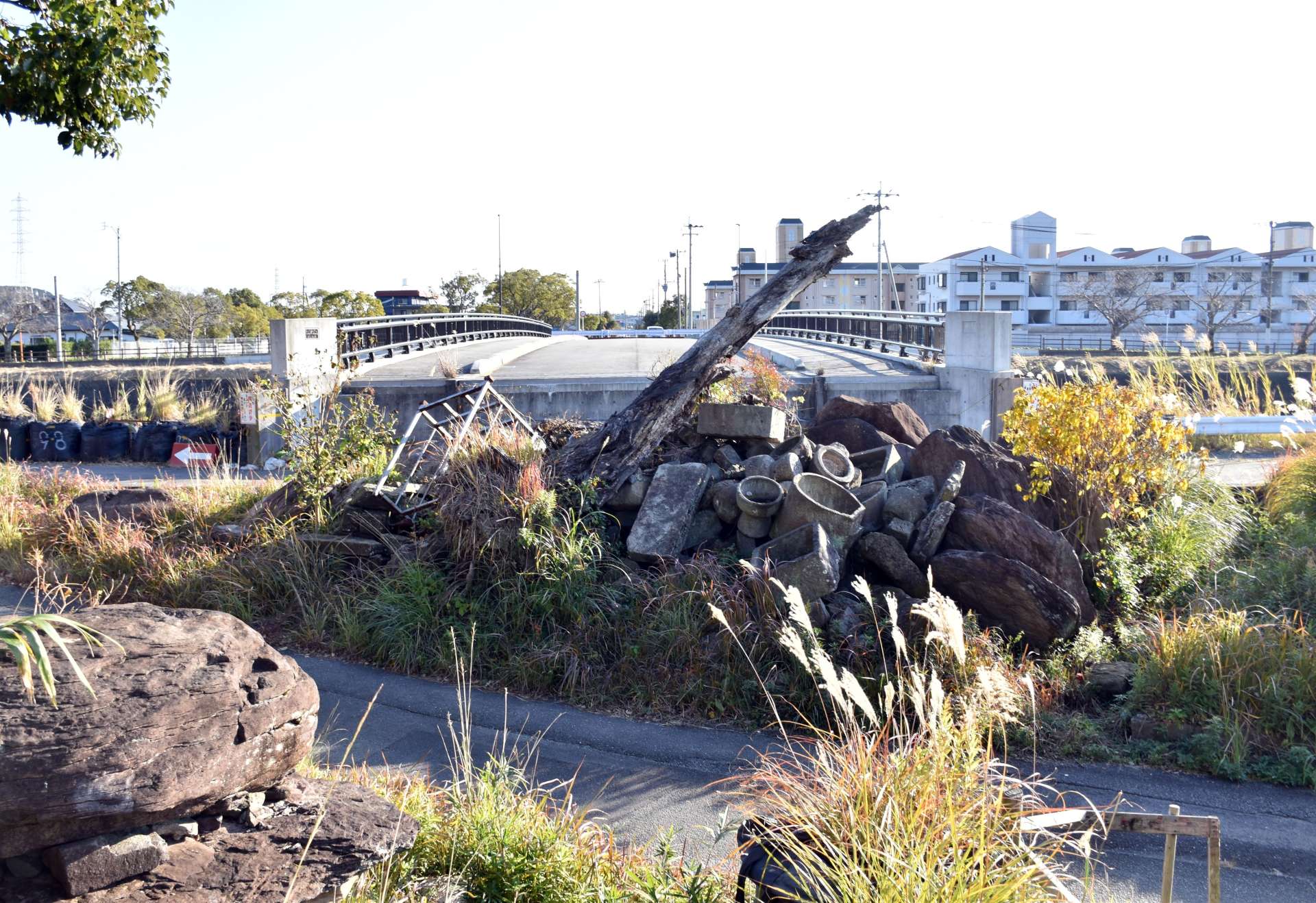 〈関連〉買収が難航している右岸側の土地。石や木が確認でき、奥には完成した橋が見える＝いちき串木野市平江