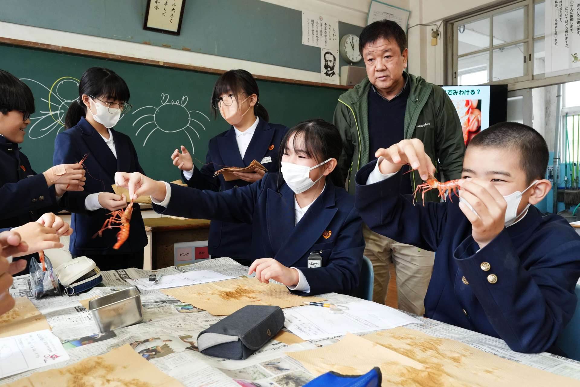 ナミクダヒゲエビを観察する児童＝垂水市の協和小学校