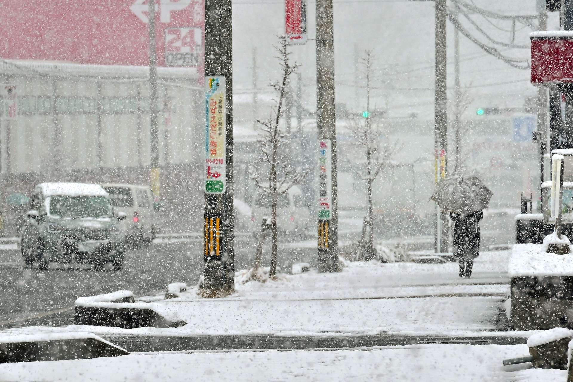 視界が悪くなるほど降りしきる雪＝４日午前９時３３分、鹿児島市吉野３丁目