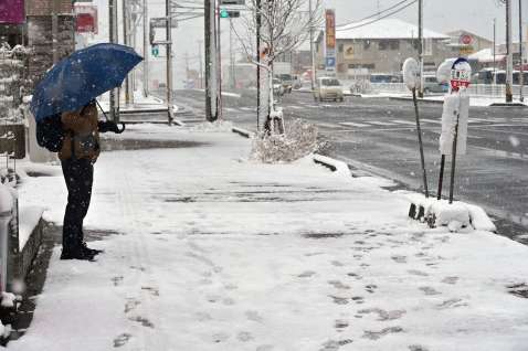 降りしきる雪の中バス尾待つ男性＝４日午前９時４０分、鹿児島市吉野３丁目
