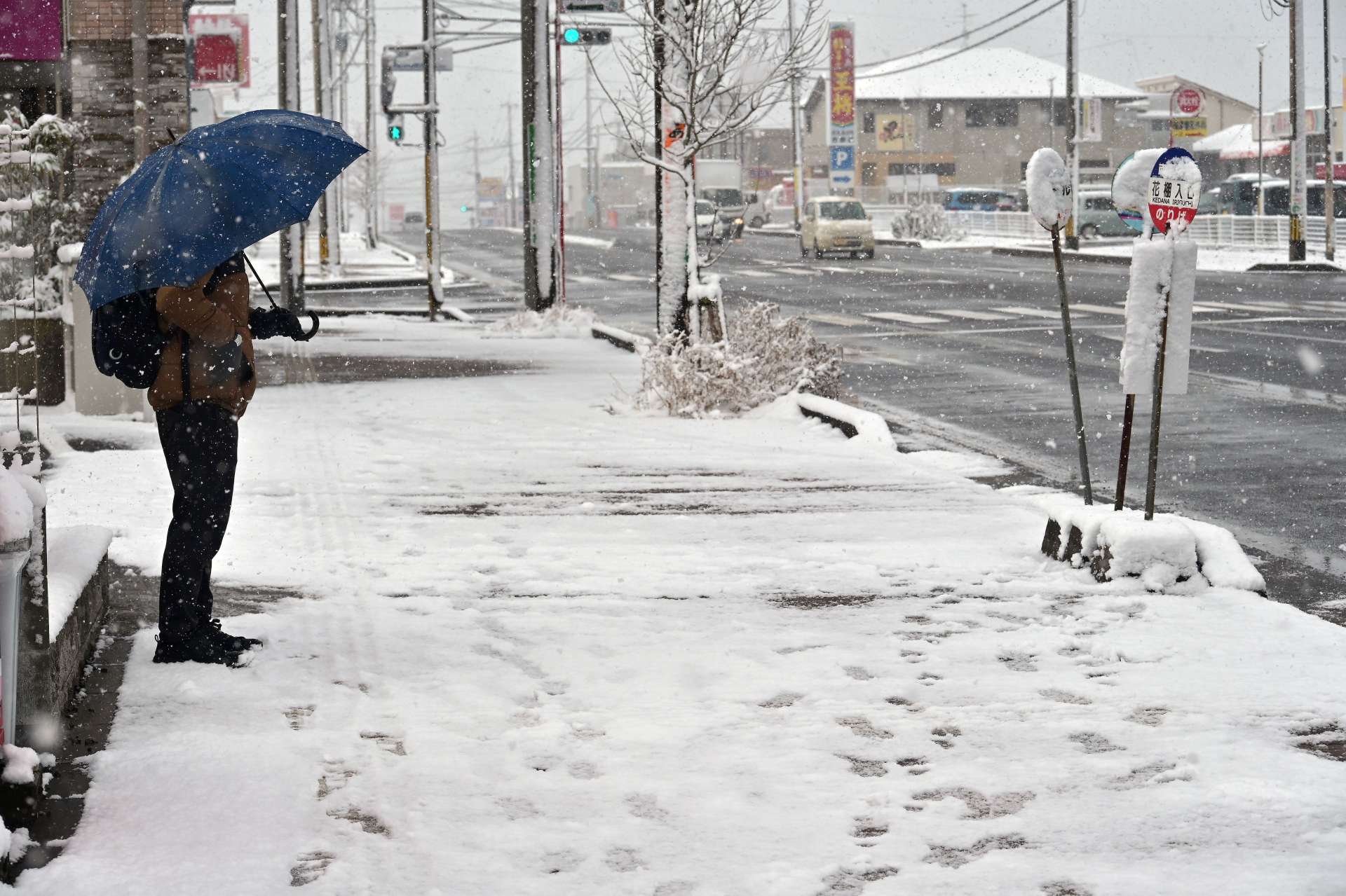 降りしきる雪の中バス尾待つ男性＝４日午前９時４０分、鹿児島市吉野３丁目