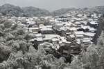 家の屋根や木々に積もる雪＝４日午前、鹿児島市大明丘２丁目