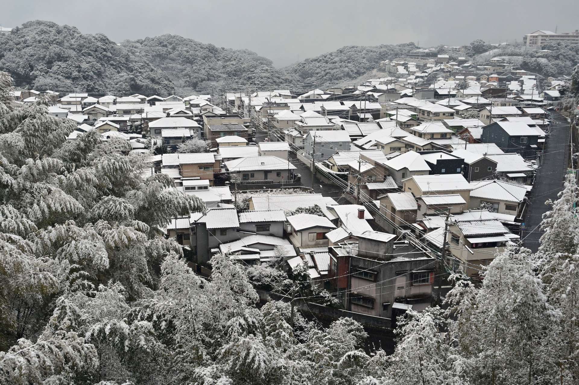 家の屋根や木々に積もる雪＝４日午前、鹿児島市大明丘２丁目