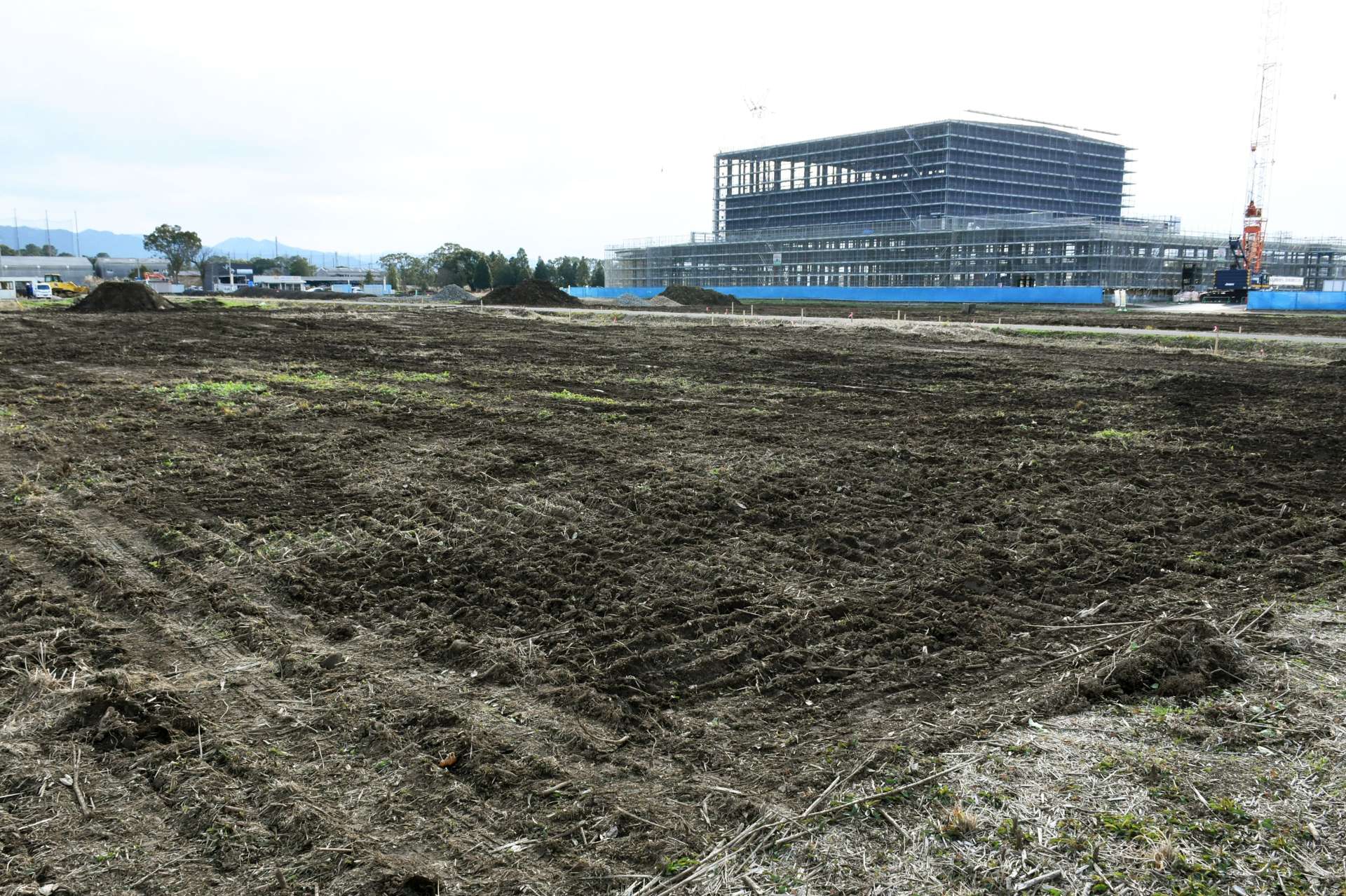 ニップンの新工場建設予定地＝６日、出水市平和町