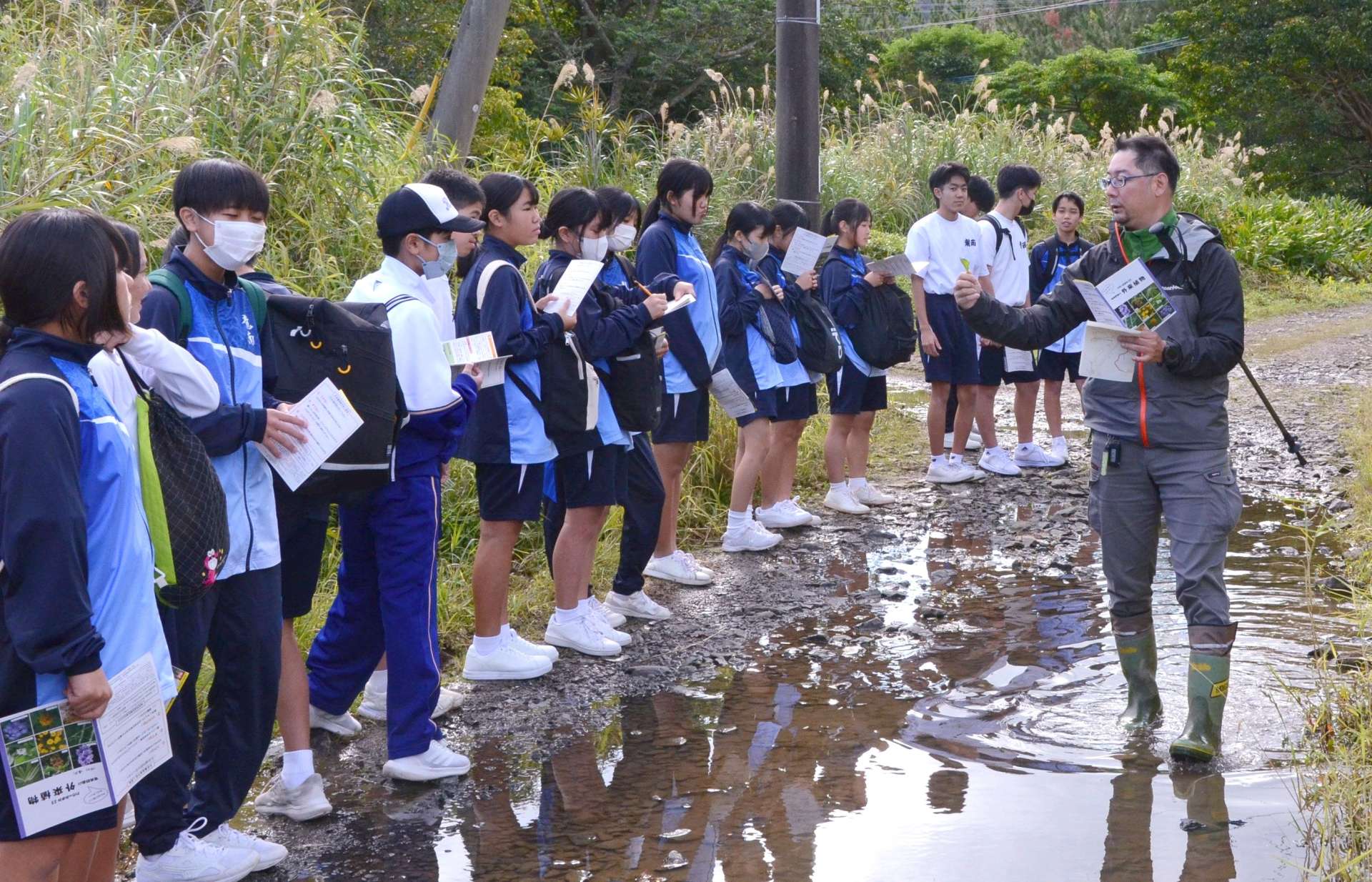 外来植物を観察する生徒＝龍郷町浦
