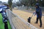 ドッグランで犬を遊ばせる人＝志布志市松山のしんば志おじゃんせ広場