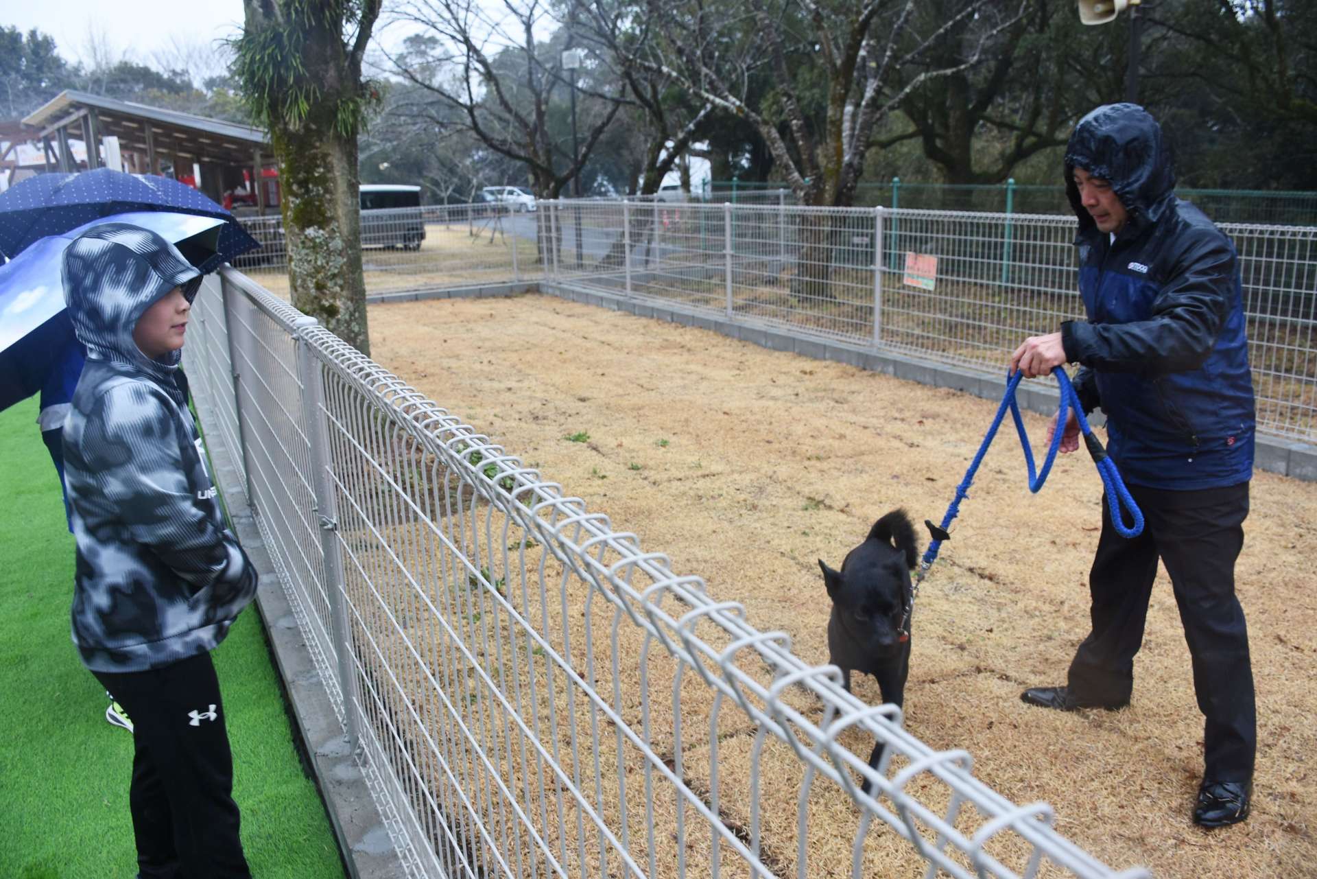 ドッグランで犬を遊ばせる人＝志布志市松山のしんば志おじゃんせ広場
