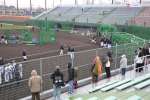 都城運動公園野球場でロッテ２軍キャンプを見学する市民ら＝１日、都城市妻ケ丘町