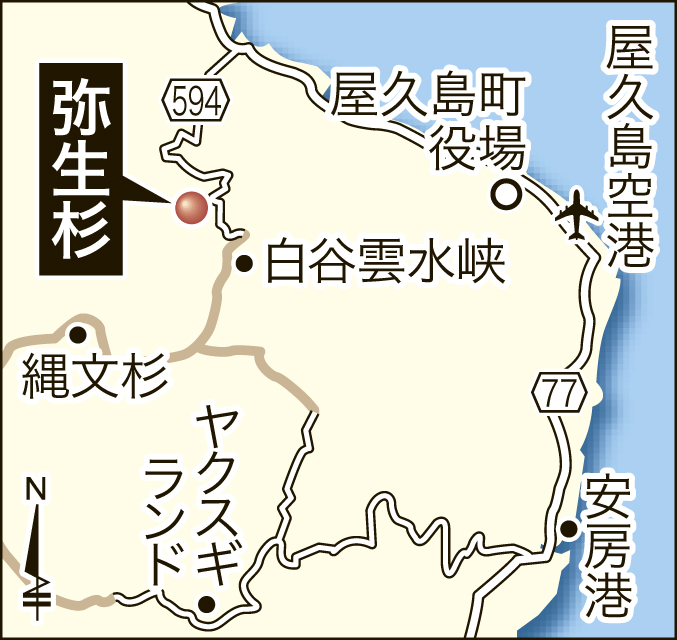折れた弥生杉の場所を地図で確認する