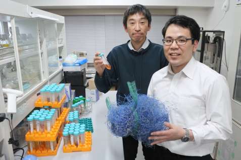 ナイロンを完全分解する手法を確立した鹿児島大の加藤太一郎准教授（中央）と大学院生の白石雄樹さん＝鹿児島市の鹿大郡元キャンパス