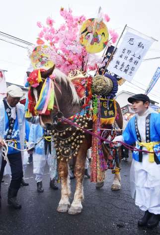 大勢の見物客が見守る中、踊り歩く御神馬＝１６日、霧島市隼人の鹿児島神宮