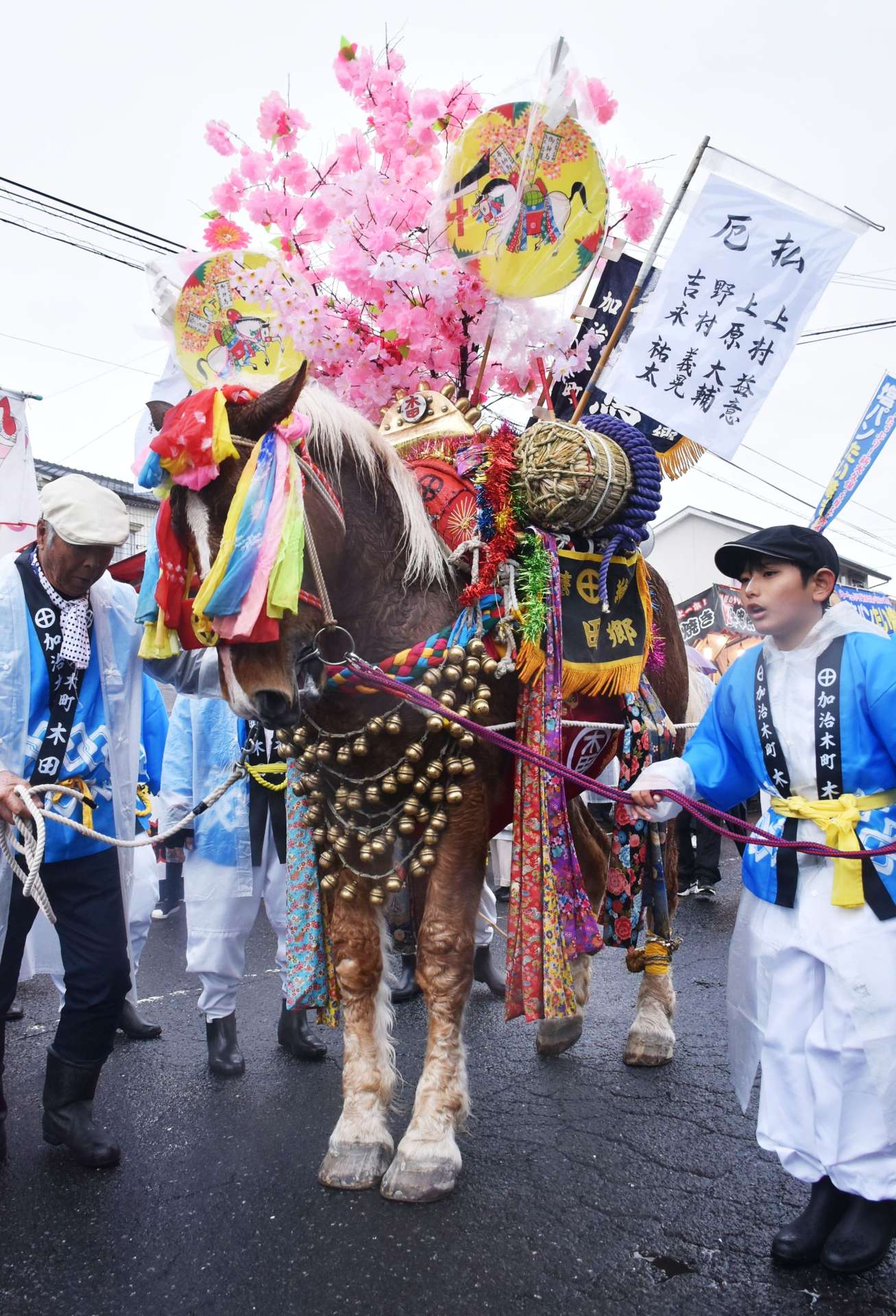大勢の見物客が見守る中、踊り歩く御神馬＝１６日、霧島市隼人の鹿児島神宮