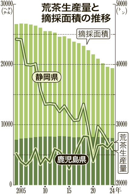 荒茶生産量と摘採面積の推移をグラフで見る