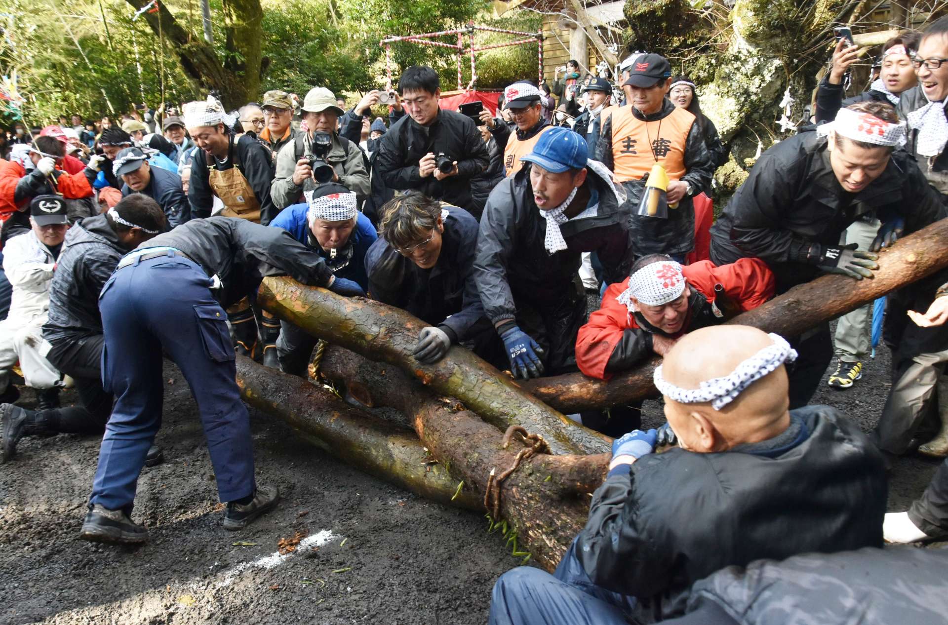 懸命に神木を引き合う地域住民＝鹿屋市上高隈町の中津神社