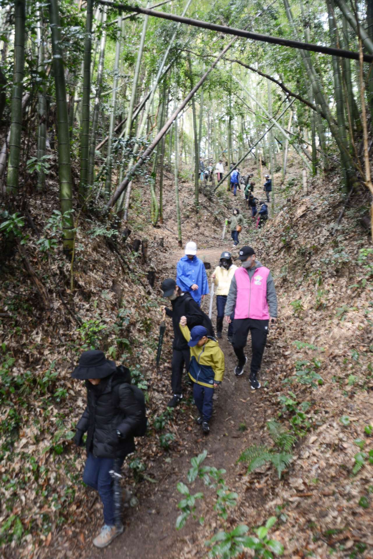 境田城跡を散策する参加者＝さつま町求名