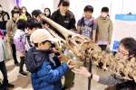 海生は虫類「海ワニ」の骨格標本を組み立てる子どもたち＝薩摩川内市の鹿島市民サービスセンター