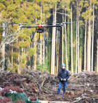 杉の苗木を運ぶ林業用のドローン＝指宿市西方