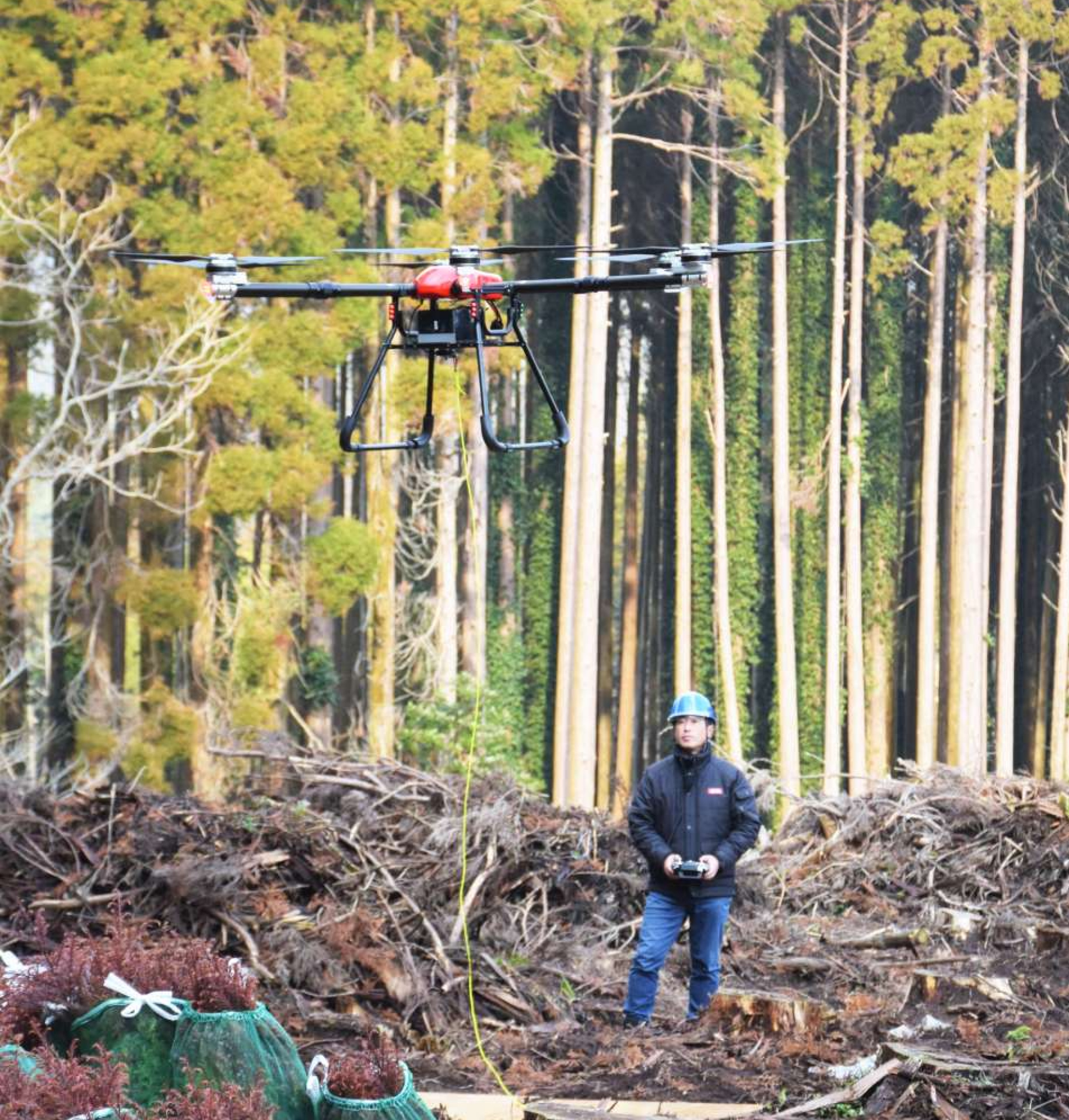 杉の苗木を運ぶ林業用のドローン＝指宿市西方