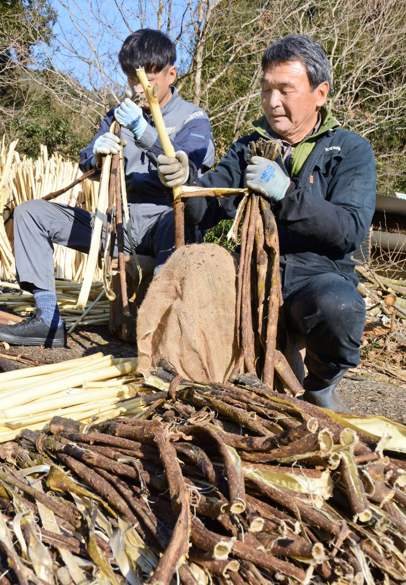 カジノキの皮剝ぎ作業をする野元政志さん（右）ら＝さつま町神子