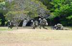 戦闘訓練をする水陸機動団の隊員＝２７日午後２時すぎ、知名町の大山野営場