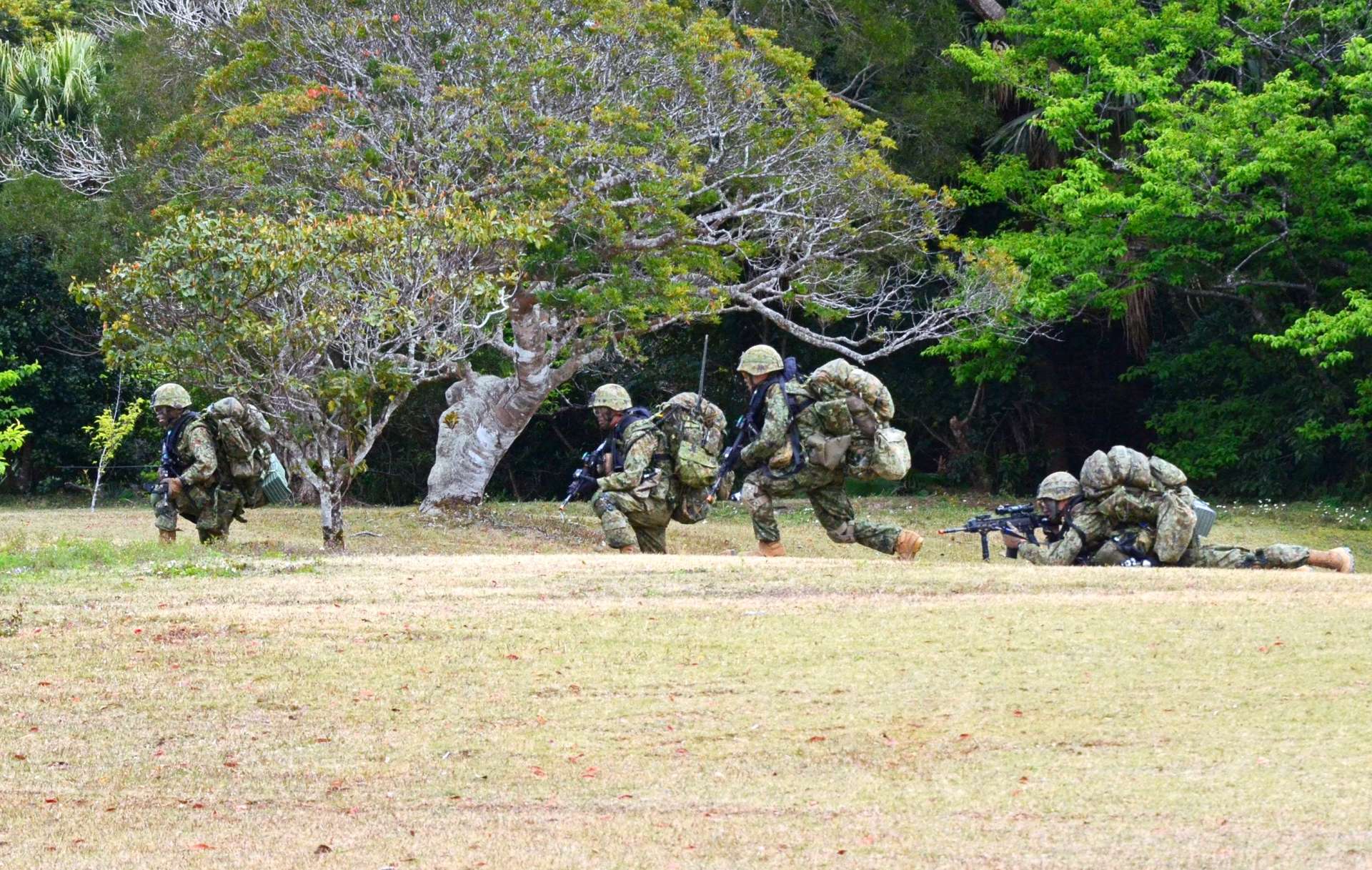 戦闘訓練をする水陸機動団の隊員＝２７日午後２時すぎ、知名町の大山野営場