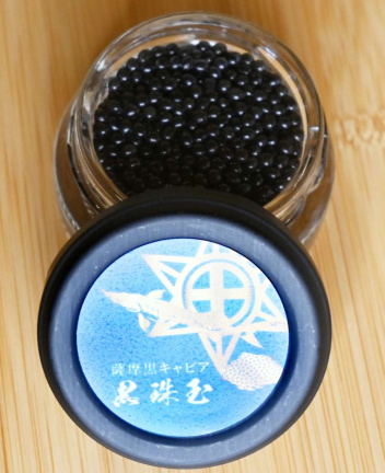 鹿児島水産高校で育てたチョウザメから取ったキャビア