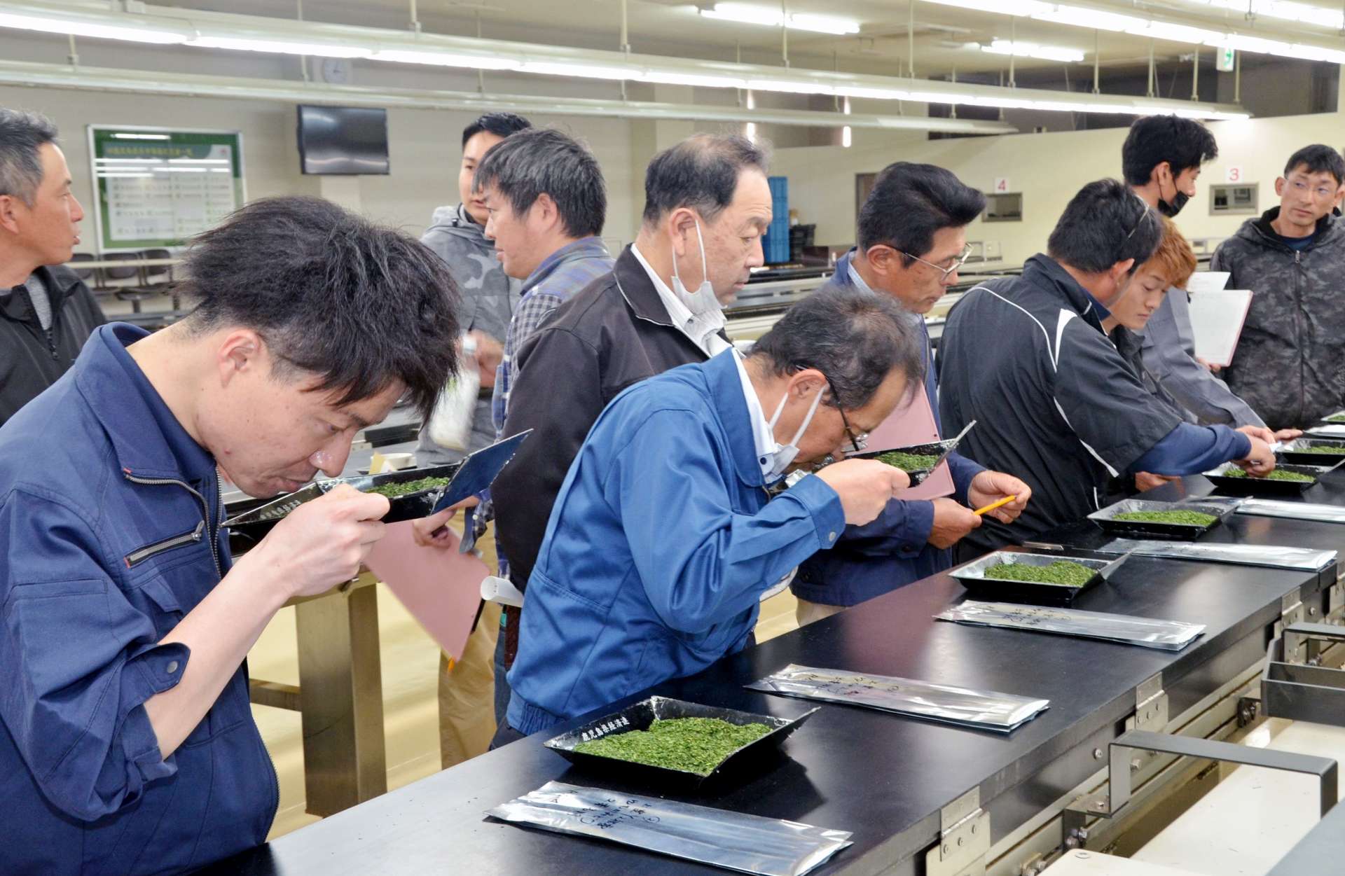 てん茶の品質審査を学ぶ茶生産者ら＝５日、鹿児島市のかごしま茶流通センター