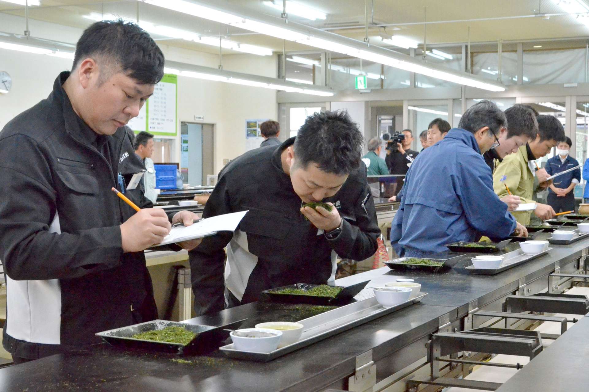 各茶工場の自慢の知覧茶を審査する茶商ら＝６日、鹿児島市の県茶市場