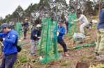 力を合わせて苗木を植える参加者ら＝阿久根市山下