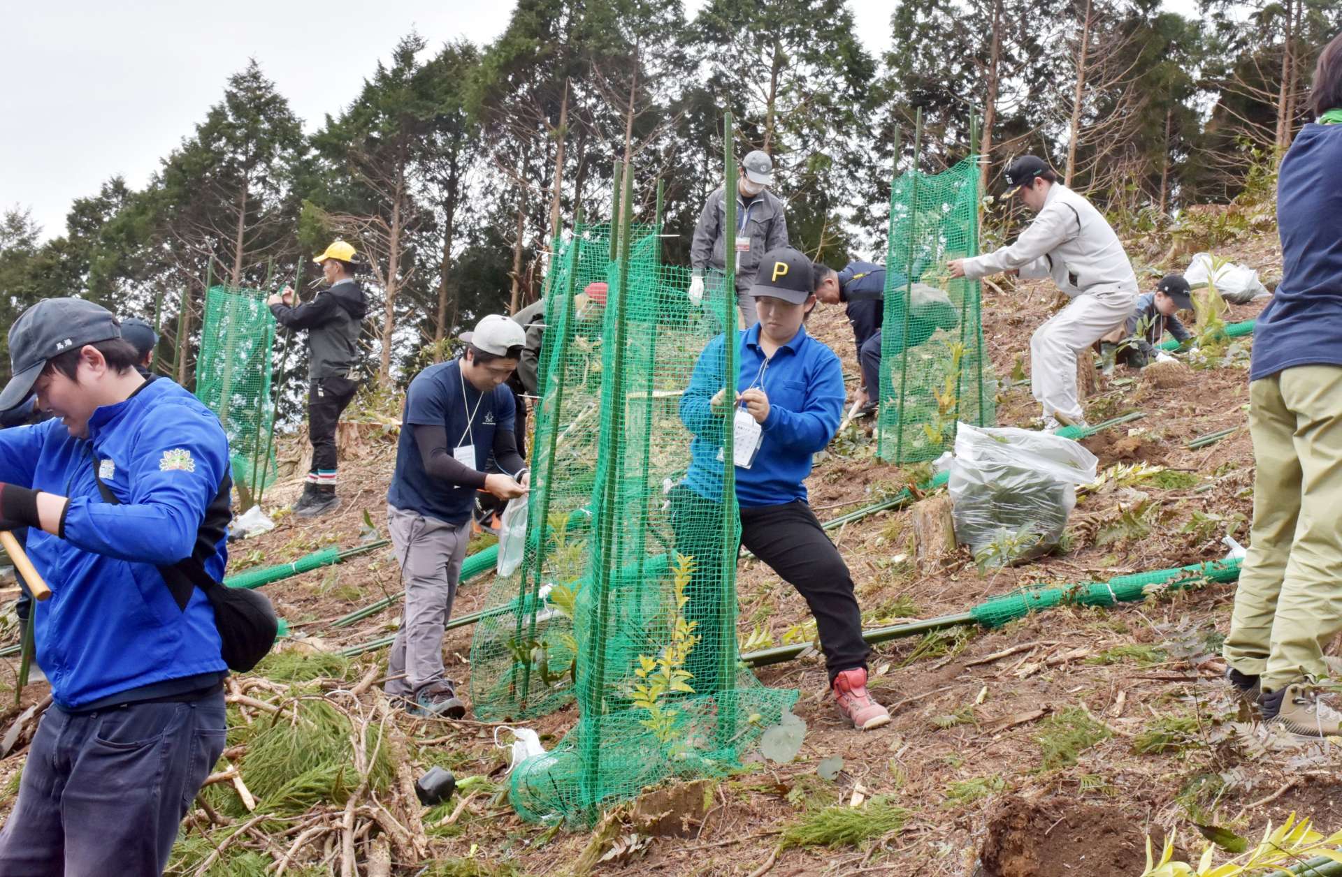 力を合わせて苗木を植える参加者ら＝阿久根市山下