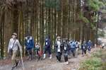 スギに囲まれた林道を歩く参加者ら＝阿久根市山下