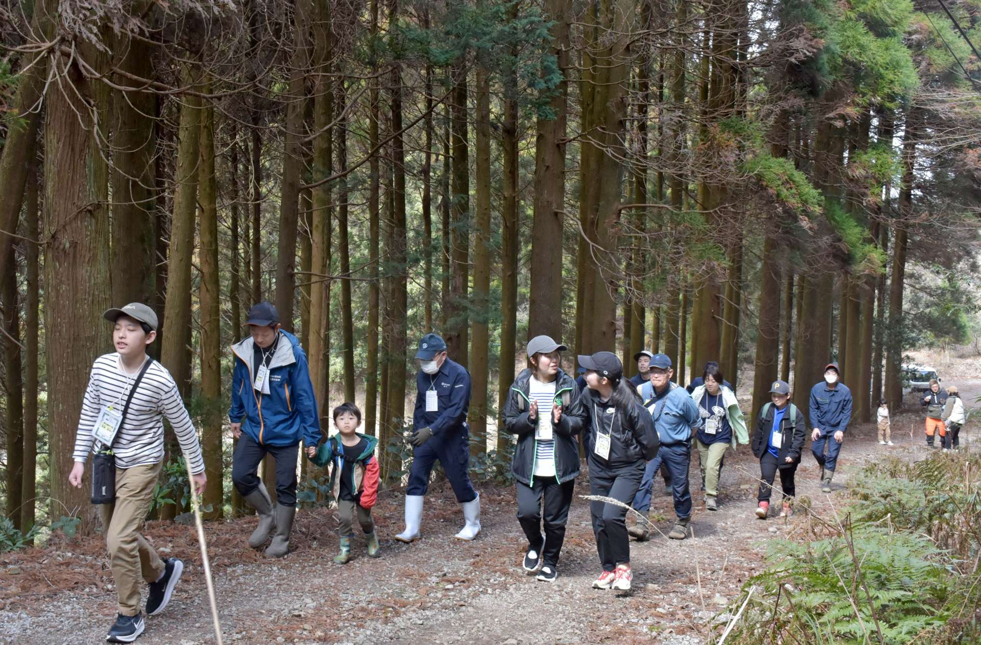 スギに囲まれた林道を歩く参加者ら＝阿久根市山下