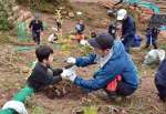 力を合わせて苗木を植える参加者ら＝阿久根市山下