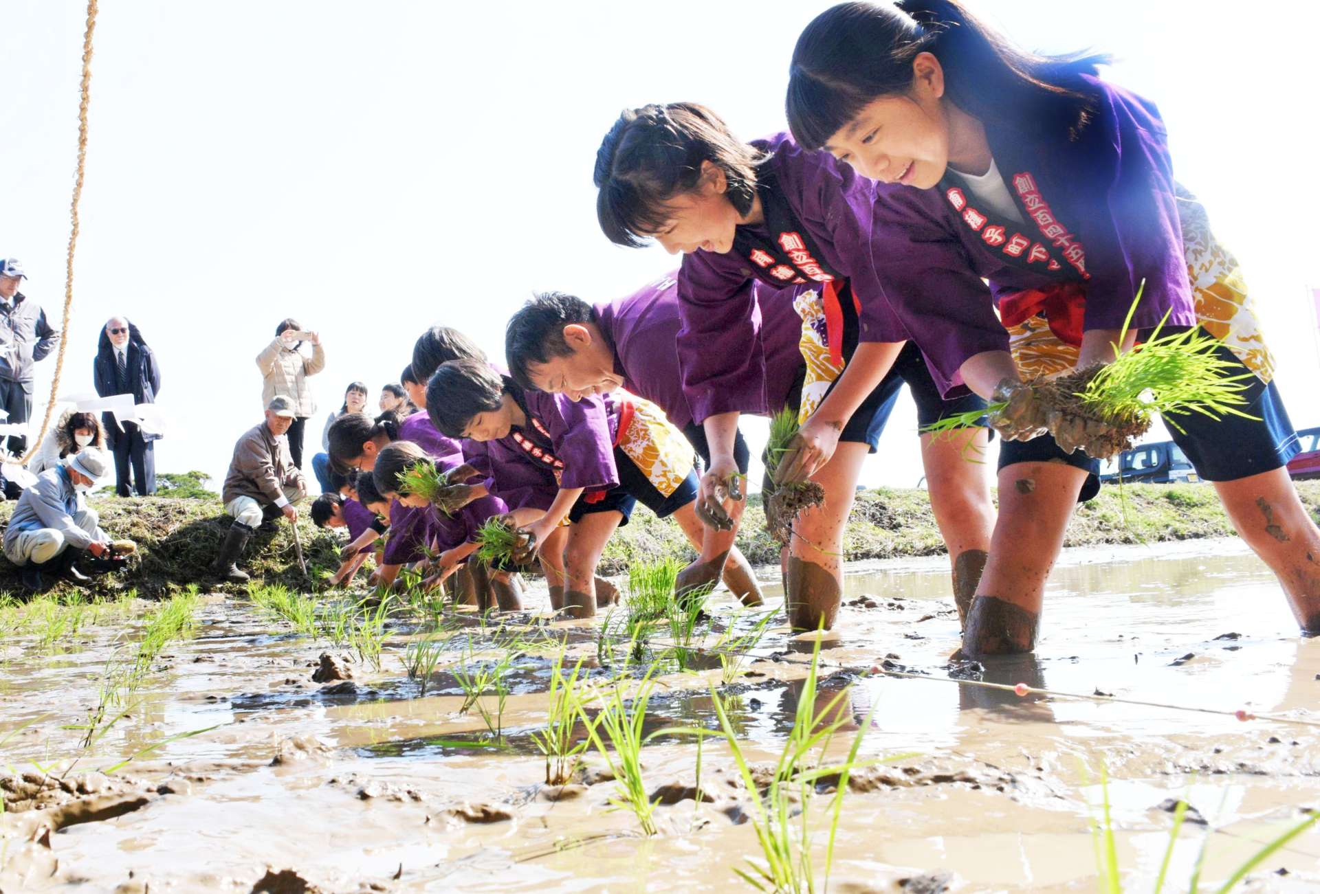 新調した法被を着て苗を手植えする児童たち＝南種子町中之下