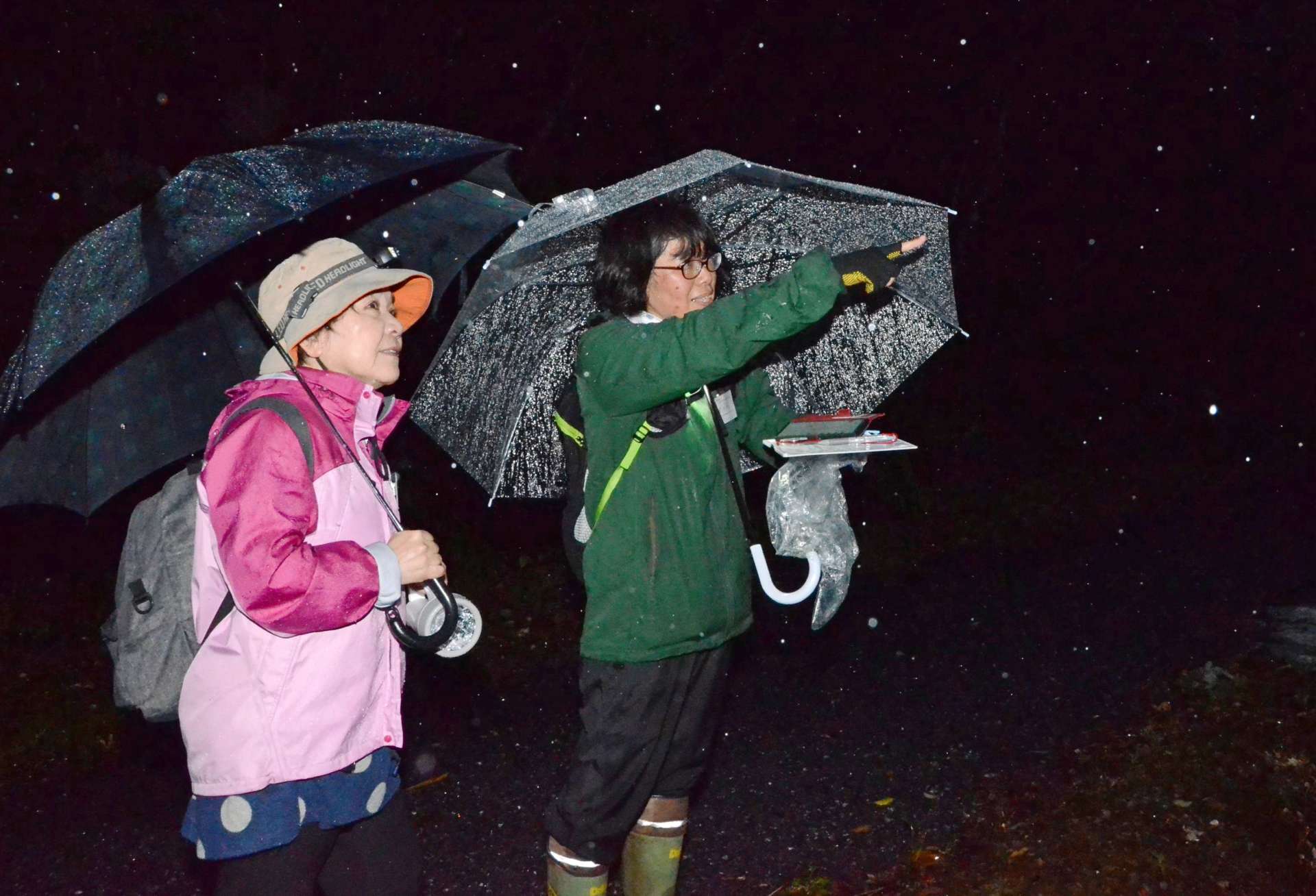さえずりが聞こえる方角を確認する参加者＝奄美市