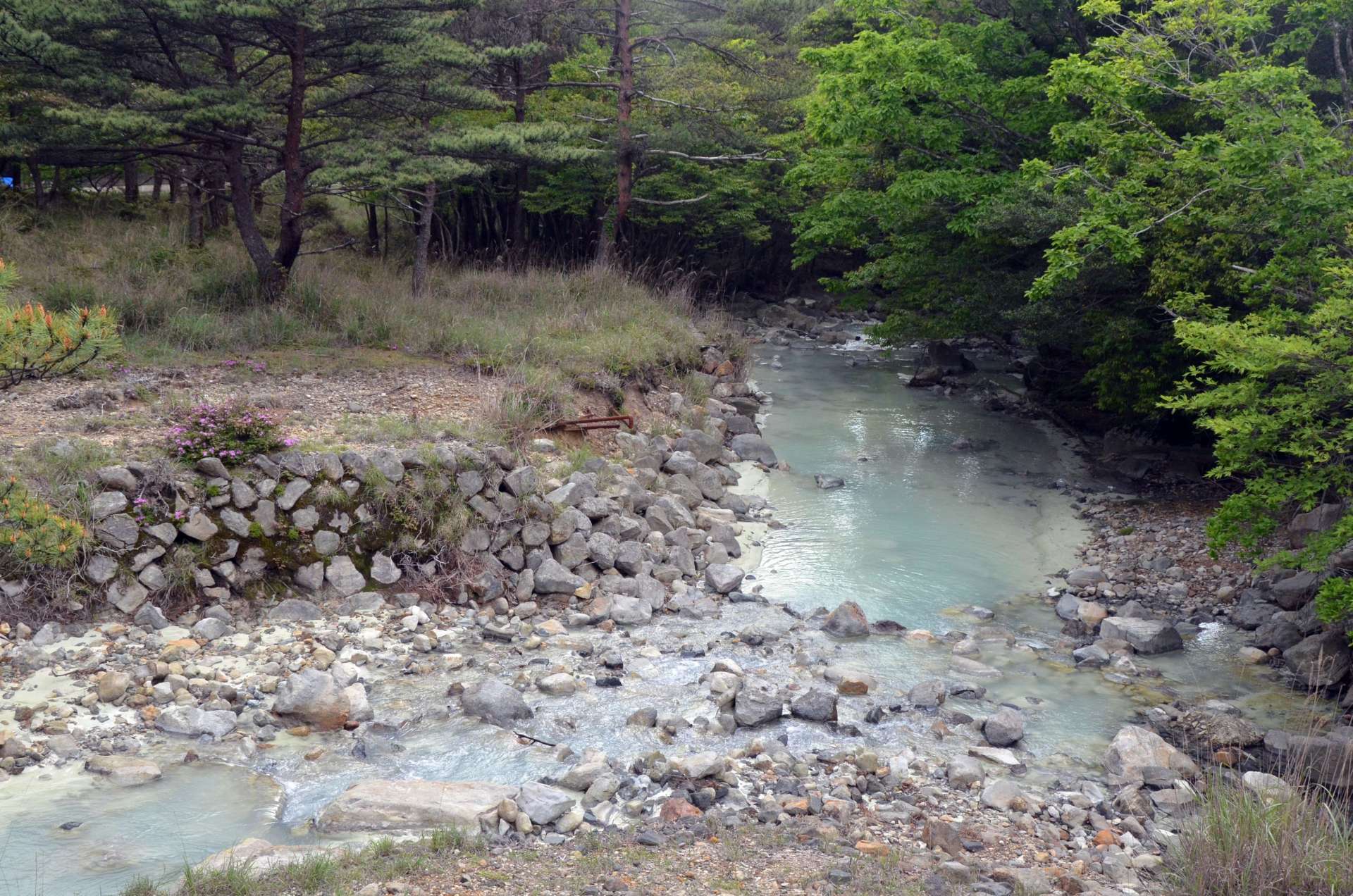 〈関連〉２０２４年５月、岡元堰の約６キロ上流にあるえびの高原を流れる赤子川。硫黄山の堆積物流入により白濁化している＝えびの市末永