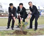 ヒラドツツジを植樹する串木野ロータリークラブの西田憲智会長（中央）ら＝いちき串木野市旭町