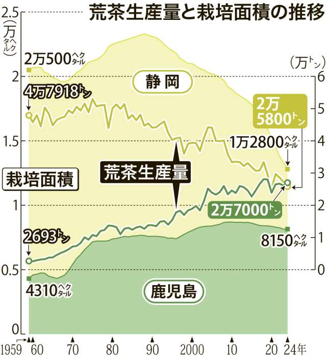 〈関連〉鹿児島県と静岡県の荒茶生産量、栽培面積は１９５９年からどう推移してきたのか一目で分かるグラフ