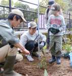 ユーカリの苗木を植える参加者＝２９日、鹿児島市の平川動物公園